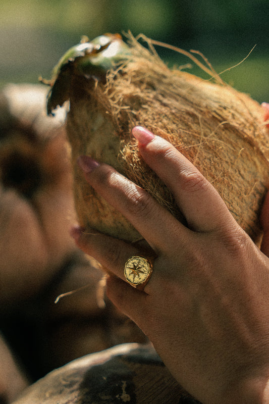 The Compass Ring